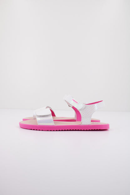 PABLOSKY P en color KANSAS  (1)