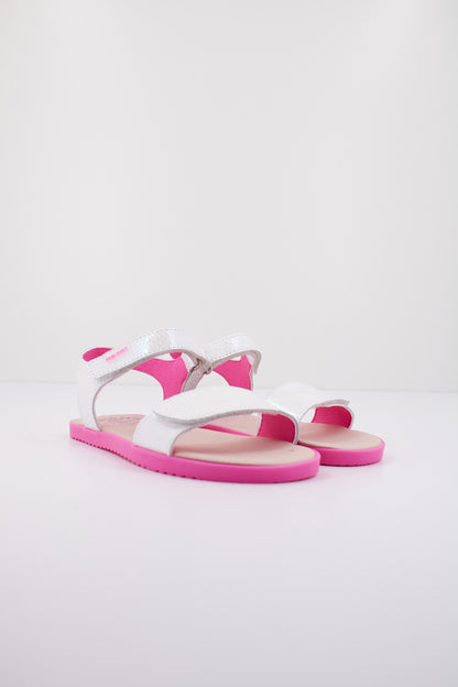 PABLOSKY P en color KANSAS  (2)