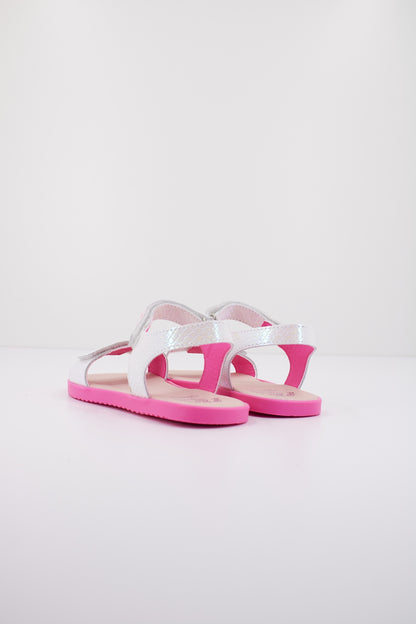 PABLOSKY P en color KANSAS  (3)