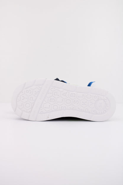 PABLOSKY P  en color EGEO  (5)