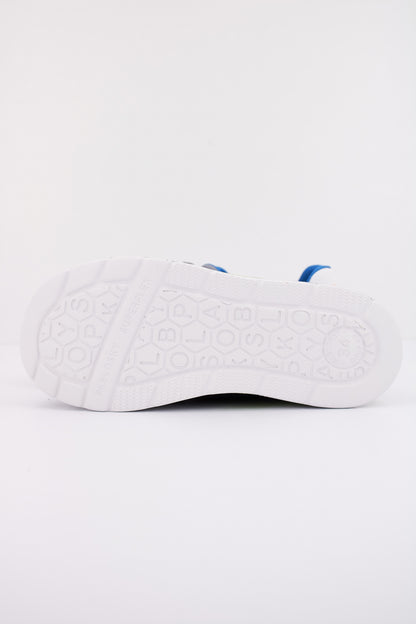 PABLOSKY P  en color PIGEON  (5)