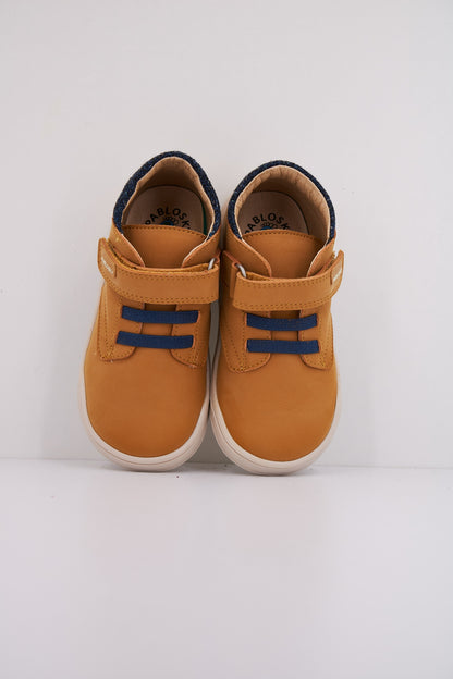 PABLOSKY P en color AMBRA  (3)