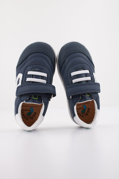 PABLOSKY P  en color MDTRN  (3)