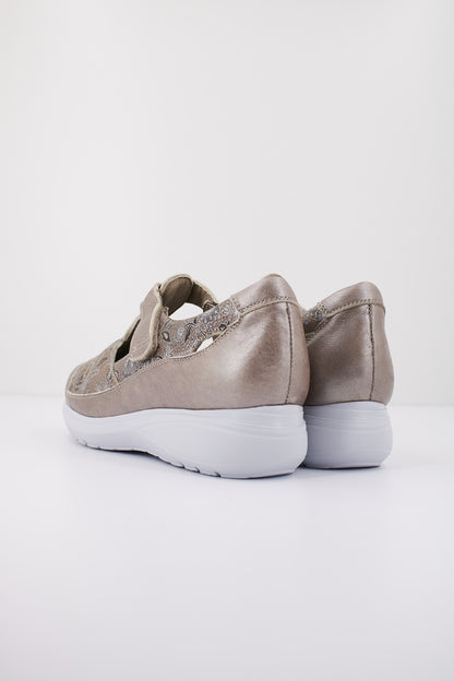 PINOSOS H en color TITAN  (3)