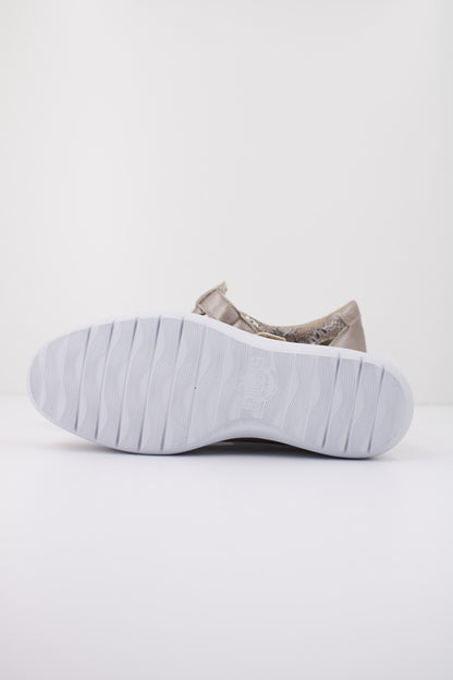 PINOSOS H en color TITAN  (4)