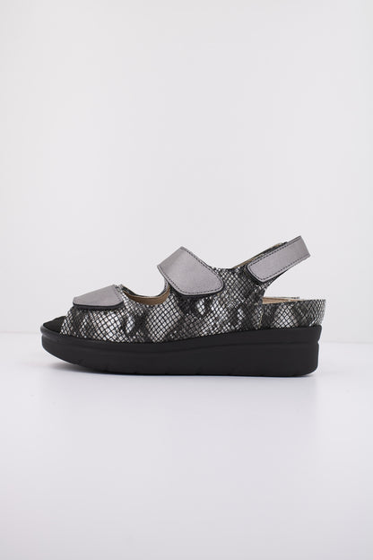 PINOSOS P  en color ROCA  (1)