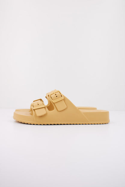 IGOR S en color DIJON  (1)