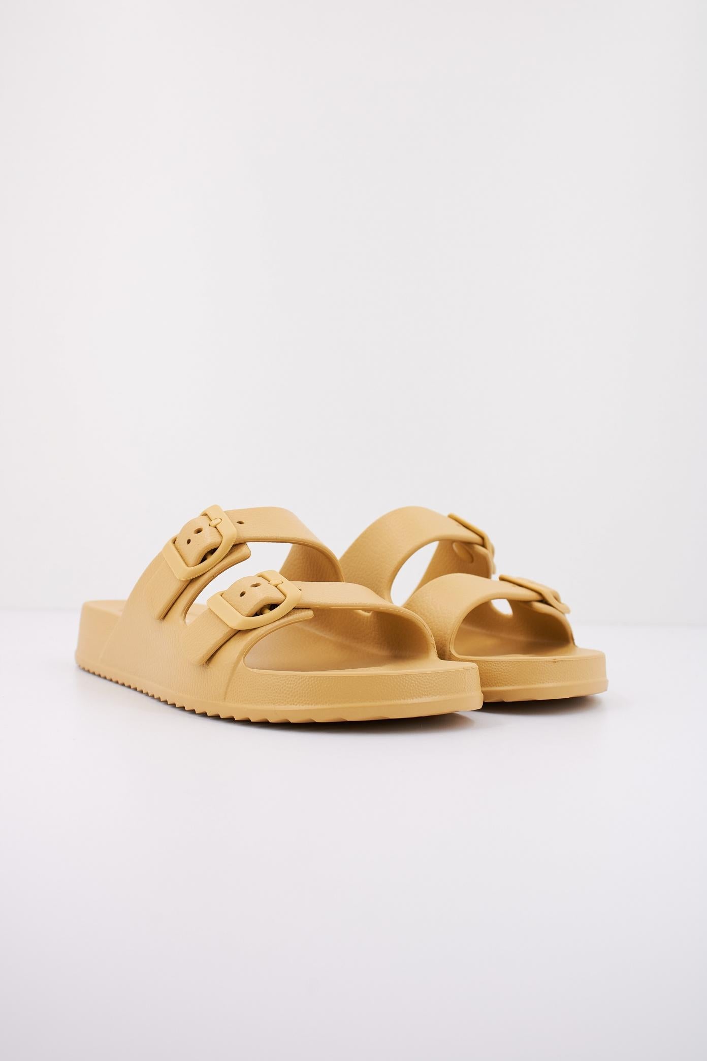 IGOR S en color DIJON  (2)