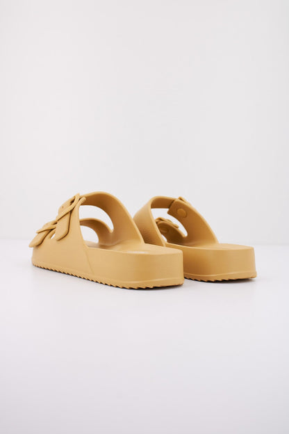 IGOR S en color DIJON  (3)