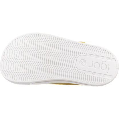 IGOR PEPITO en color DIJON  (6)