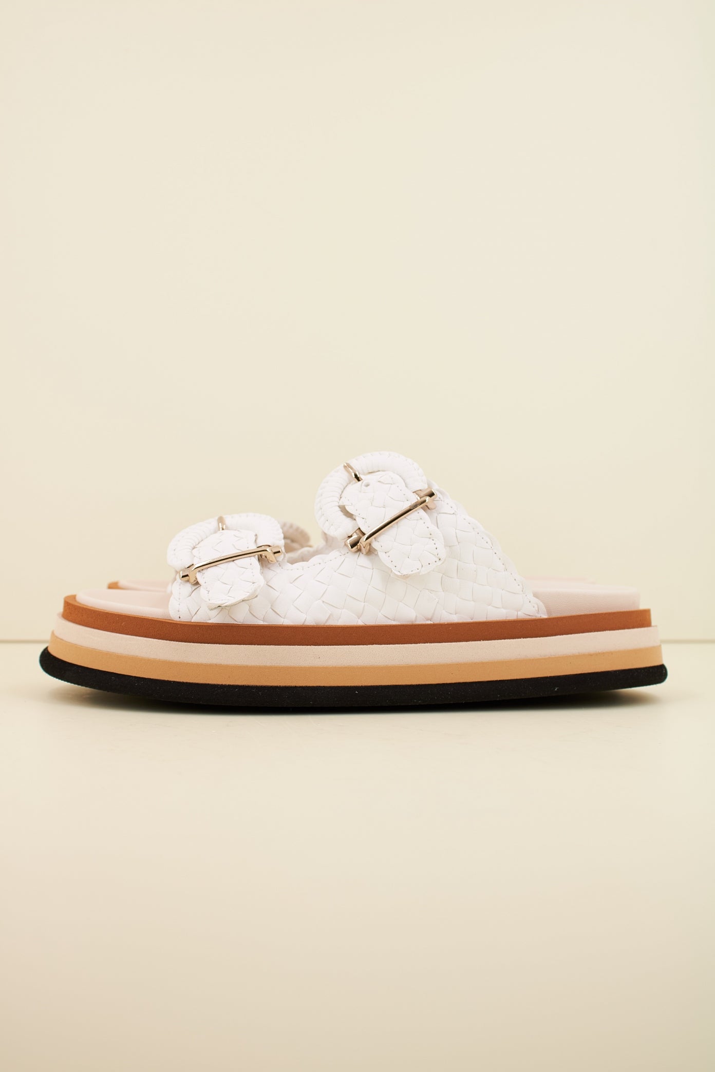 PONS QUINTANA CAIMAN en color RETXA  (1)