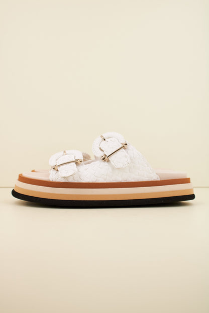 PONS QUINTANA CAIMAN en color RETXA  (1)