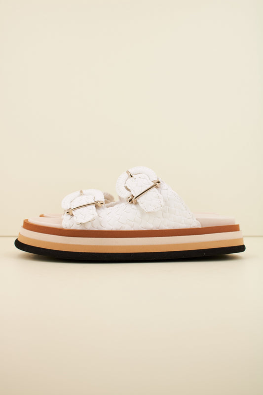 PONS QUINTANA CAIMAN en color RETXA  (1)