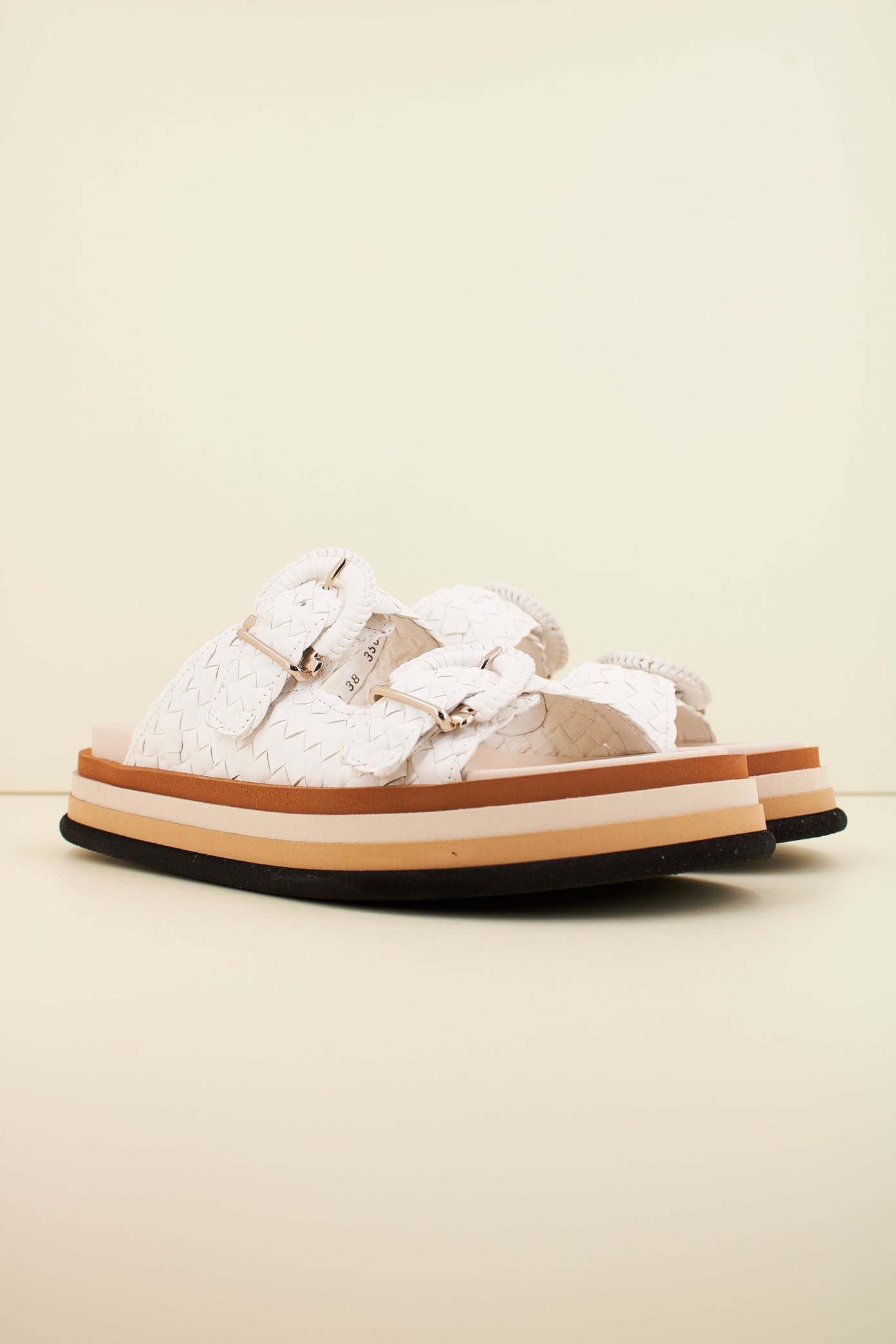 PONS QUINTANA CAIMAN en color RETXA  (2)