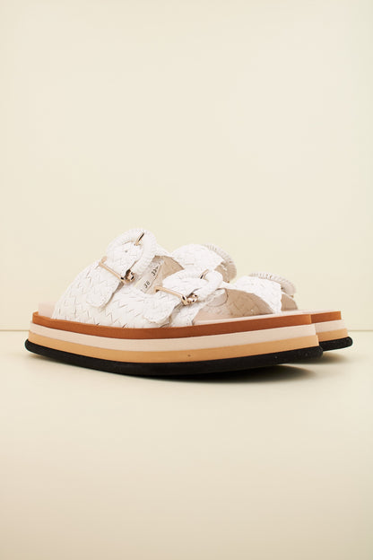 PONS QUINTANA CAIMAN en color RETXA  (2)