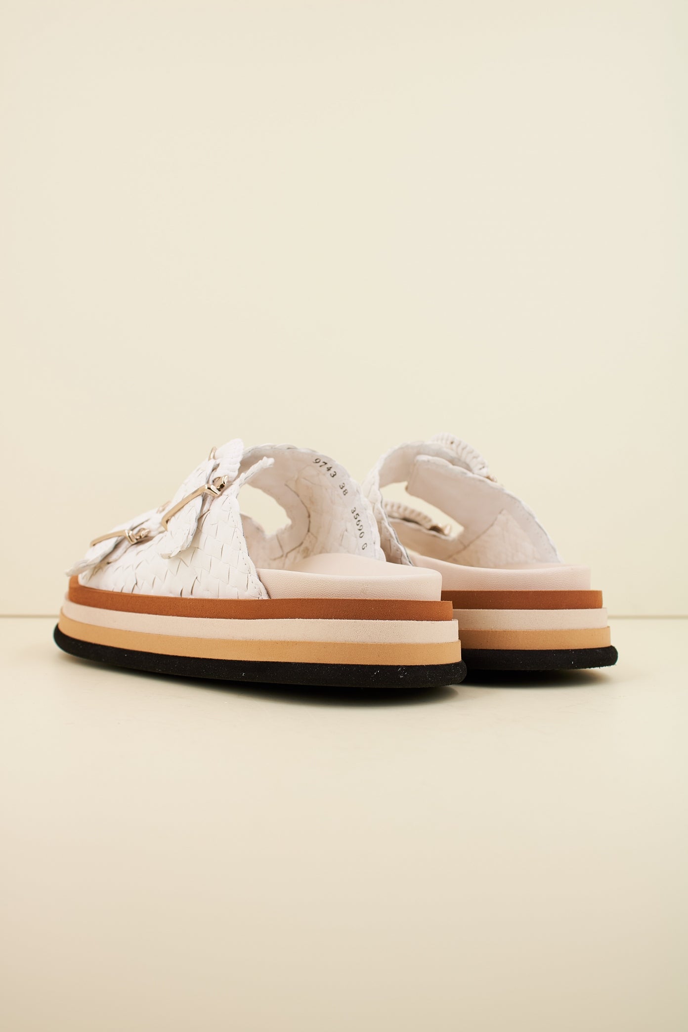 PONS QUINTANA CAIMAN en color RETXA  (3)