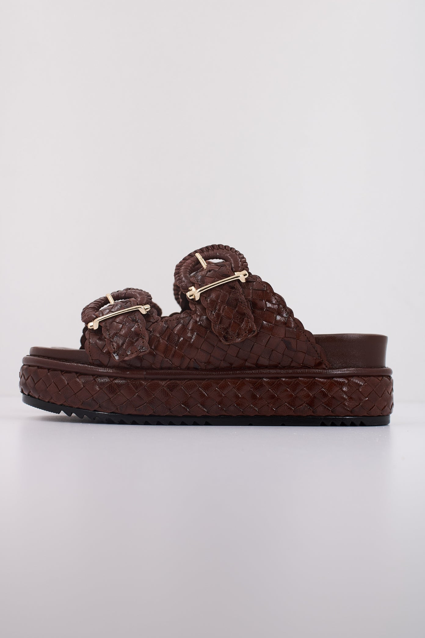 PONS QUINTANA  YACARE en color   (1)