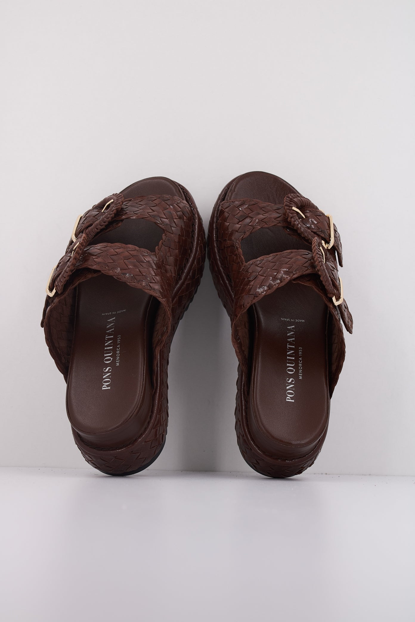 PONS QUINTANA  YACARE en color   (3)