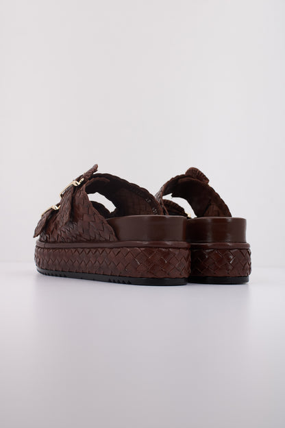 PONS QUINTANA  YACARE en color   (4)