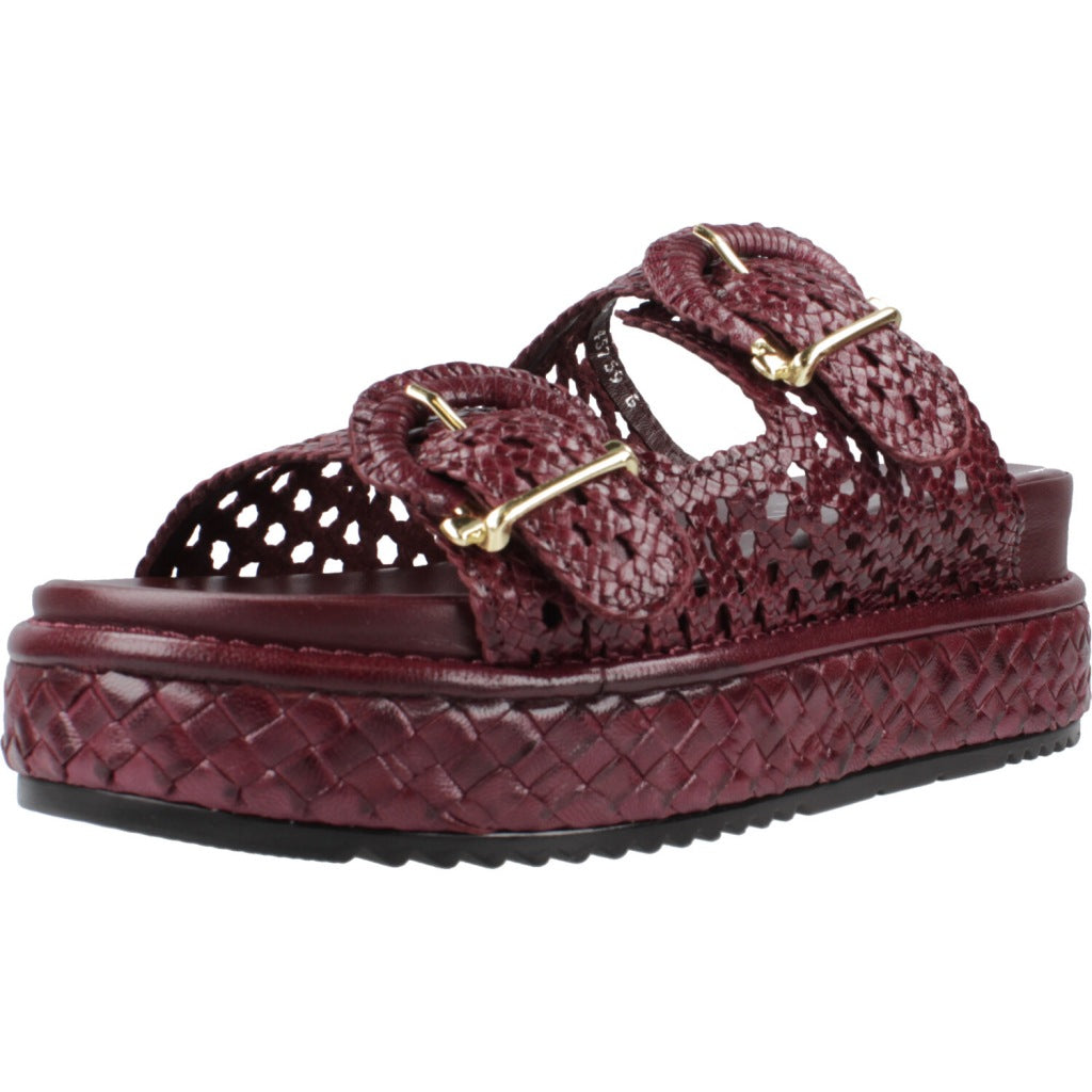 PONS QUINTANA YACARE en color   (1)