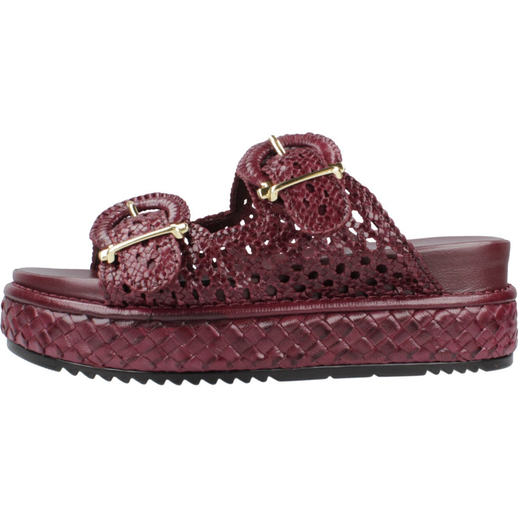 PONS QUINTANA YACARE en color   (2)