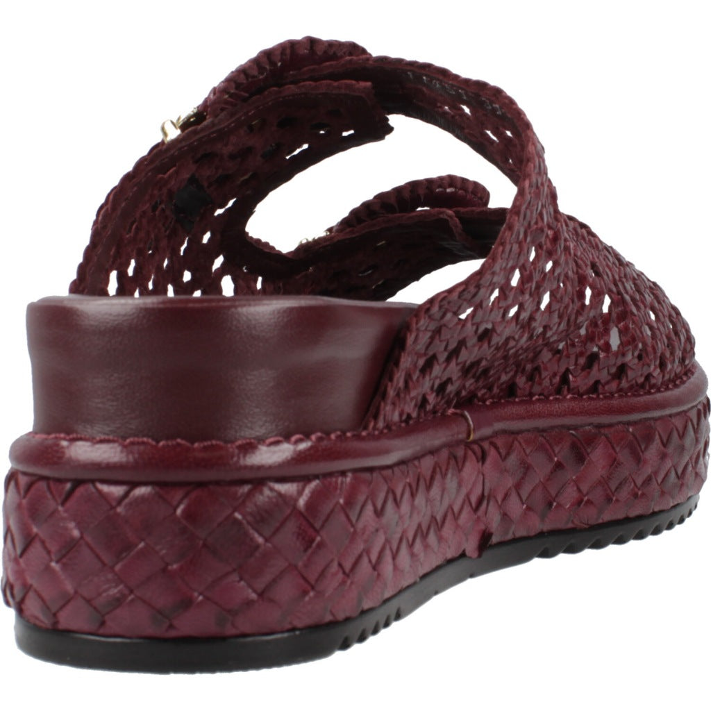 PONS QUINTANA YACARE en color   (3)