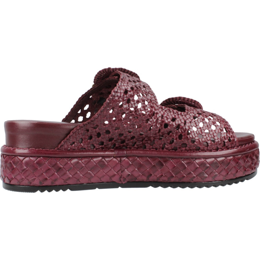 PONS QUINTANA YACARE en color   (4)