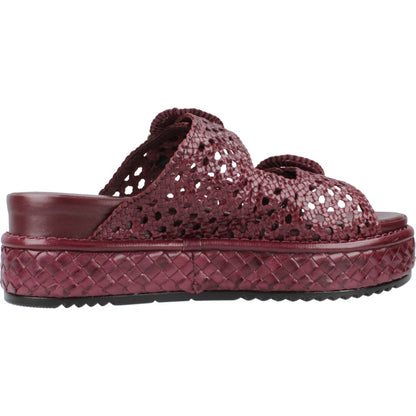 PONS QUINTANA YACARE en color   (4)