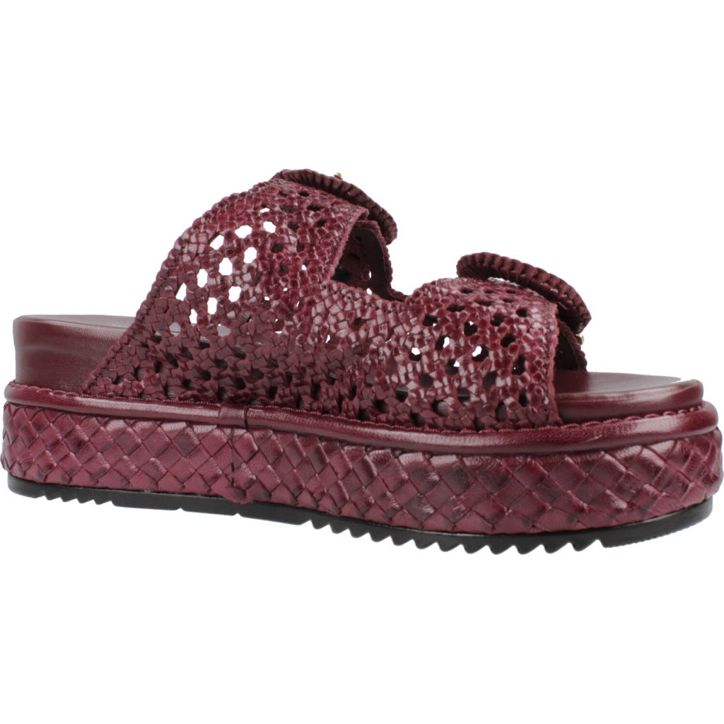 PONS QUINTANA YACARE en color   (5)