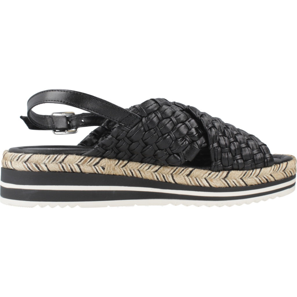 PONS QUINTANA  Y  en color   (4)