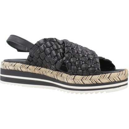 PONS QUINTANA  Y  en color   (5)