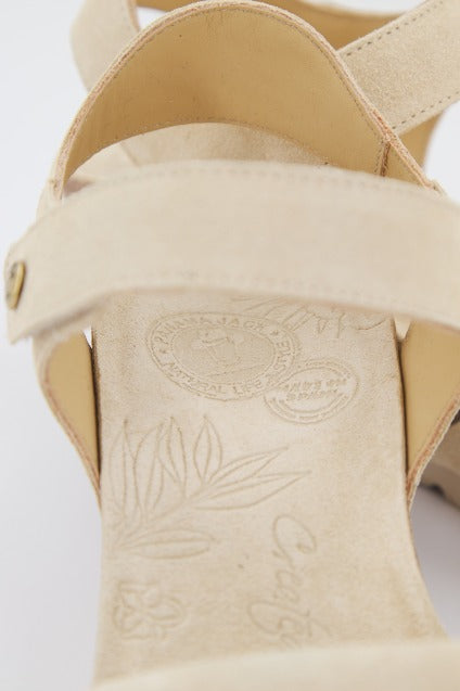 PANAMA JACK VALLEY B  en color BEIGE  (4)