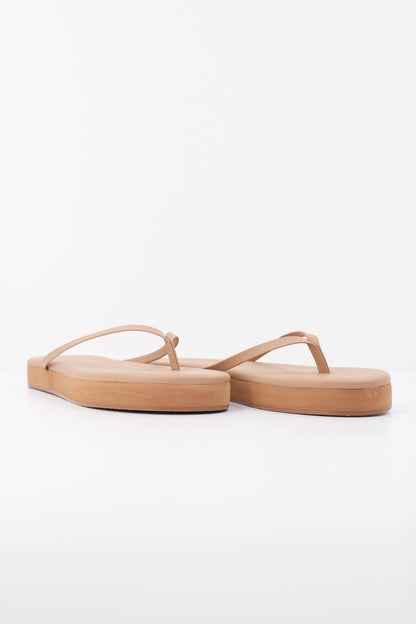 TKEES TKEFLATFORM en color COBTR  (2)