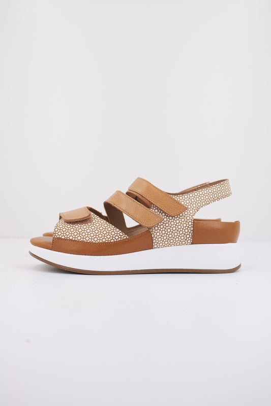 PIESANTO P en color APRICOT  (1)