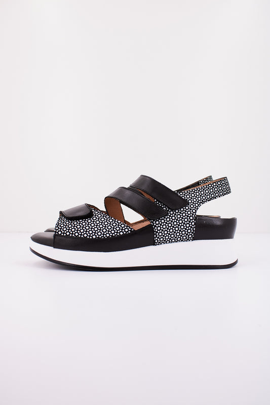 PIESANTO P en color NEGRO  (1)