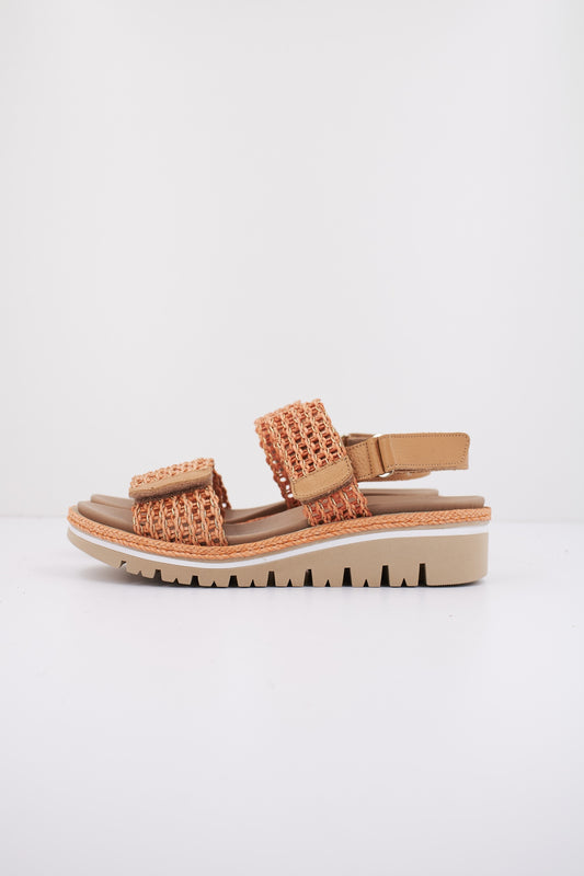 PIESANTO P  en color APRICOT  (1)
