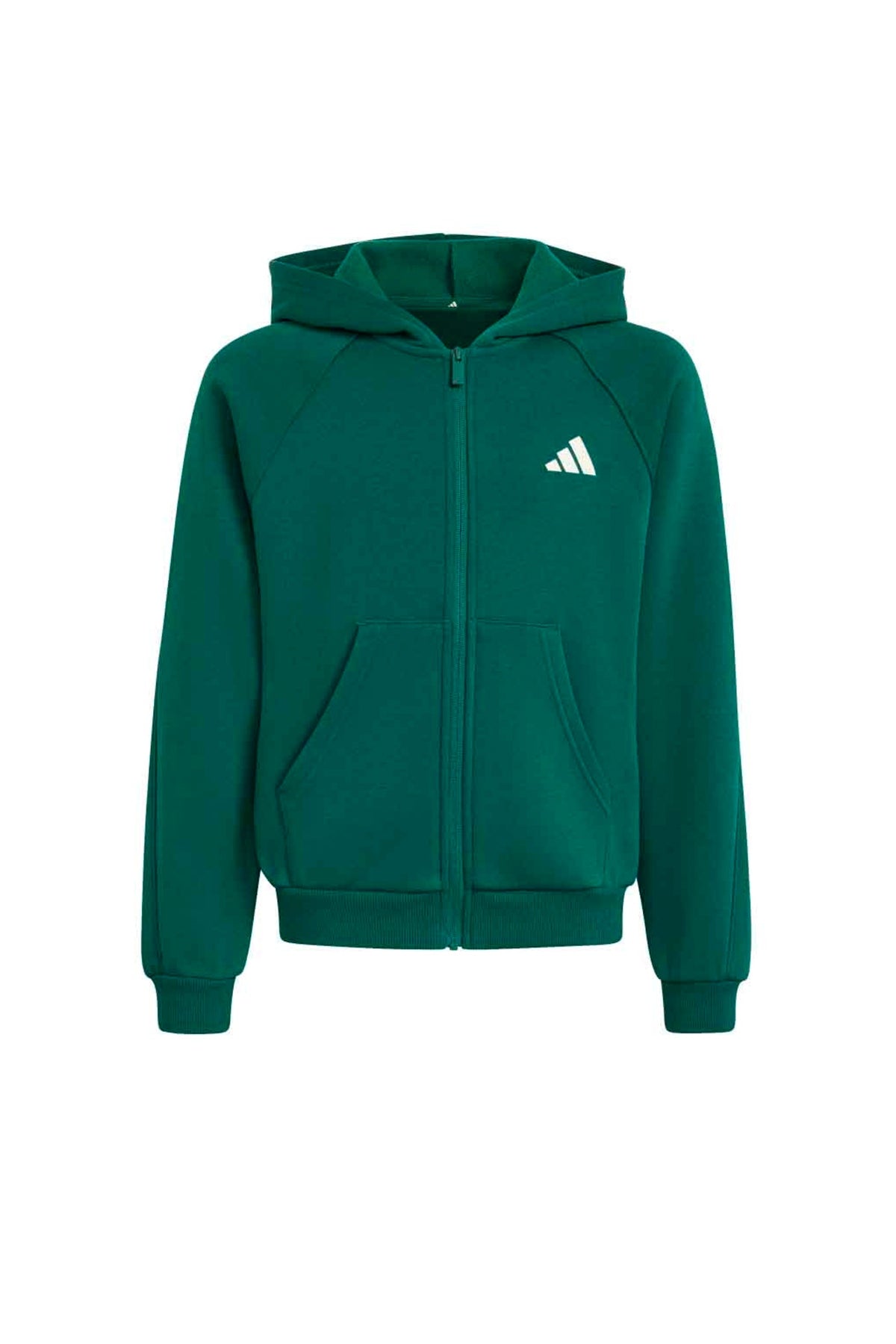 ADIDAS J CLGT FZ HD en color GREEN  (1)
