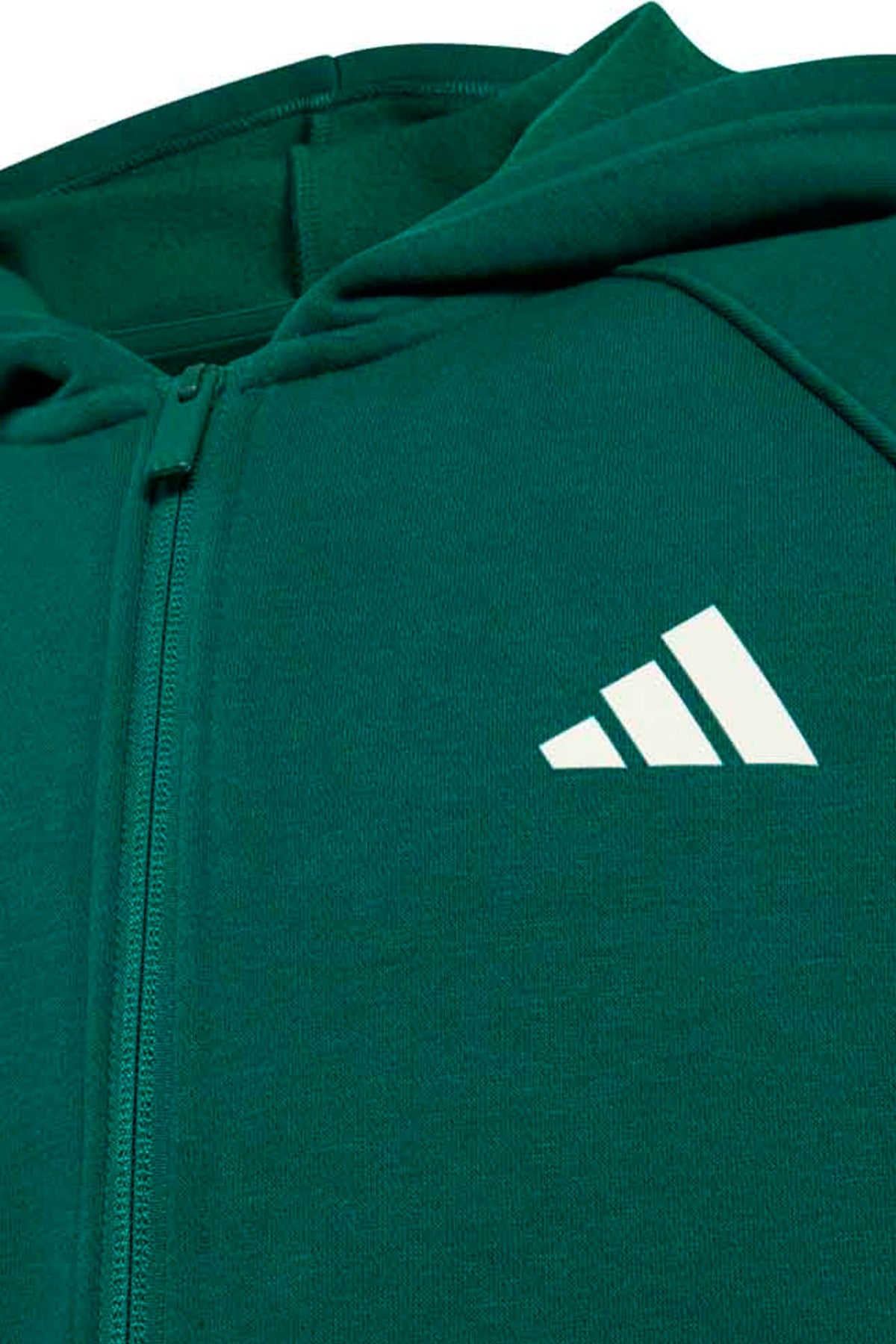 ADIDAS J CLGT FZ HD en color GREEN  (3)