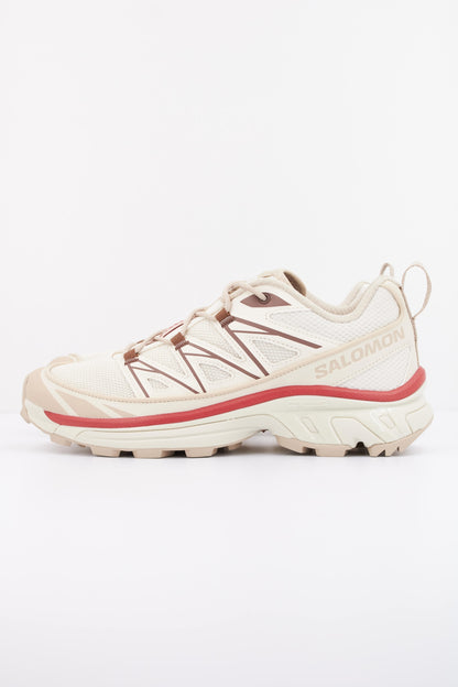 SALOMON XT  EXPANSE en color ICEFLW  (1)