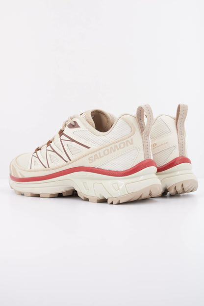 SALOMON XT  EXPANSE en color ICEFLW  (4)