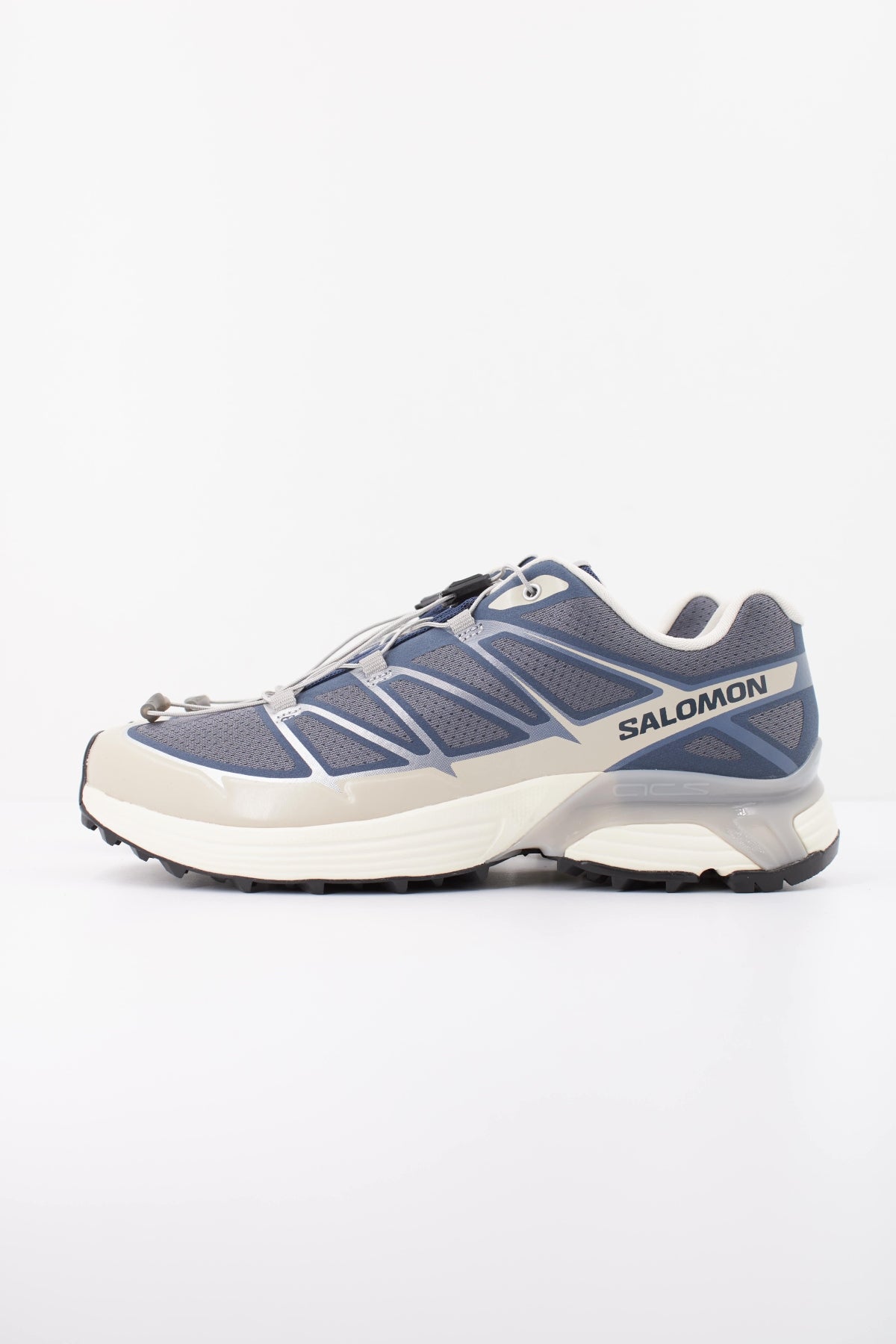 SALOMON XT PATHWAY  en color SILVER  (1)