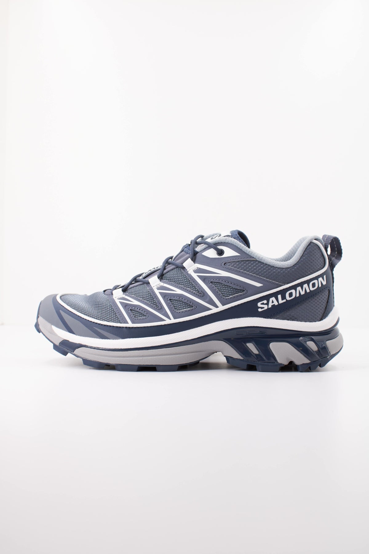 SALOMON XT  EXPANSE en color GRISLE  (1)