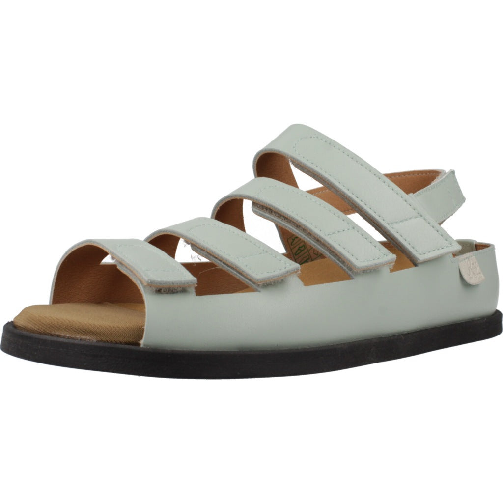 RAY MUSGO BASON en color SALVIA  (1)