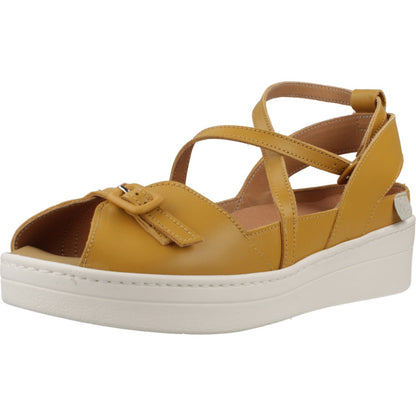 RAY MUSGO LEREN en color MSTZ  (1)