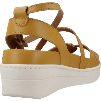 RAY MUSGO LEREN en color MSTZ  (3)