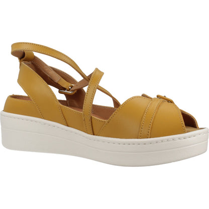 RAY MUSGO LEREN en color MSTZ  (5)