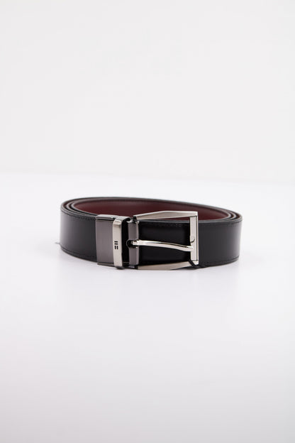 MIGUEL BELLIDO   REVERSIBLE  en color CRTNGR  (2)