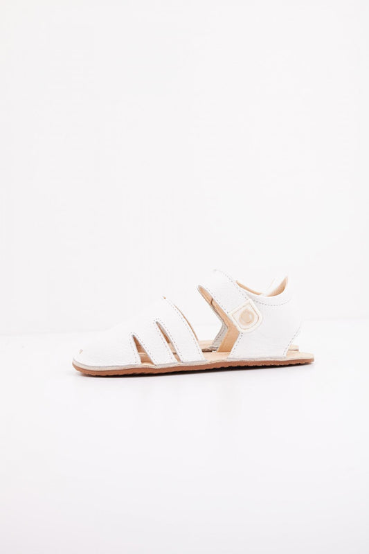 TECNOBABY TESH en color WHITE  (1)