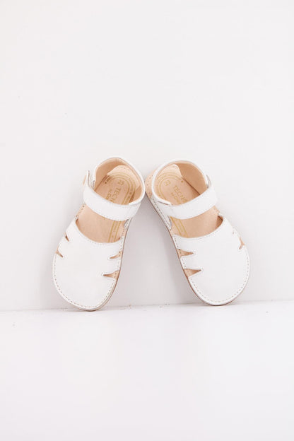TECNOBABY TESH en color WHITE  (3)