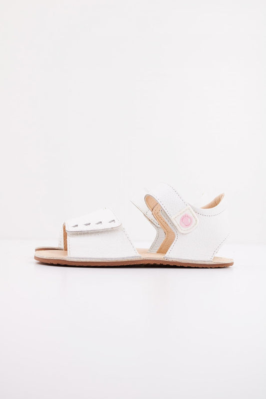 TECNOBABY TESH en color WHITE  (1)